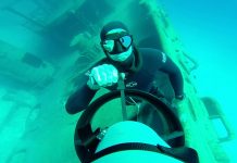 VIDEO: Exploring the Kittiwake on a single breath