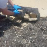 Cocaine tides: Millions of dollars worth of drugs wash up in Cayman Police collect cocaine packages from a beach in East End in April 2020 while Cayman was under lockdown restrictions. Throughout 2020, police recovered 137 pounds of cocaine that washed up on local beaches. - Photo: RCIPS