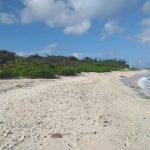 $18M apartment complex planned for turtle nesting beach in West Bay