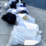 Police seize 900 pounds of ganja in two April busts