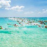 Flowers Sea Swim takes to the waves for 29th time
