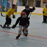 Four teams claim gold in hockey finals