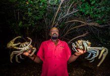 Land crabs feel the pinch from development