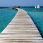 Trees or tourists? Jamaica’s COVID recovery push threatens green aims