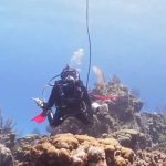 CCMI celebrates World Oceans Day