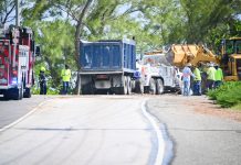 Driver dies in collision with dump truck