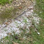 Polystyrene ‘snow’ falls from construction site