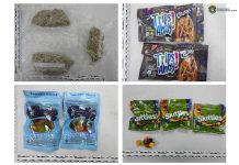 CBC intercepts marijuana edible candies