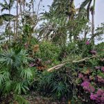 $3 million for farmers impacted by TS Grace