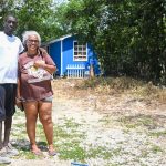 Could tiny homes help resolve housing issues?