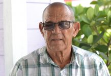 Farmer vows to ‘take out’ local parrots