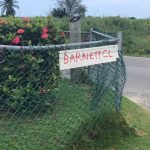CPA to hear West Bay townhouse development application