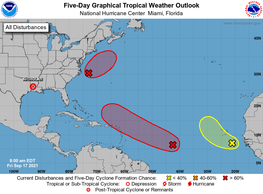 developing system