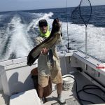 Natural Marine World Tidbits