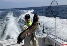 Natural Marine World Tidbits