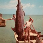 Looking back in time: Weighing the catch