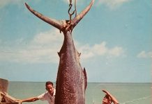 Looking back in time: Weighing the catch