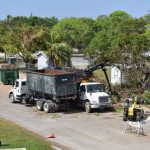 DEH Vegetation Collection on West Bay ends on Saturday