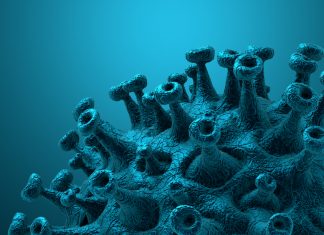 Year in review: Cayman’s COVID bubble burst