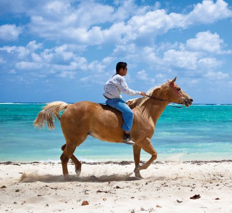 Island Life Calendar - Cayman Islands - on horseback