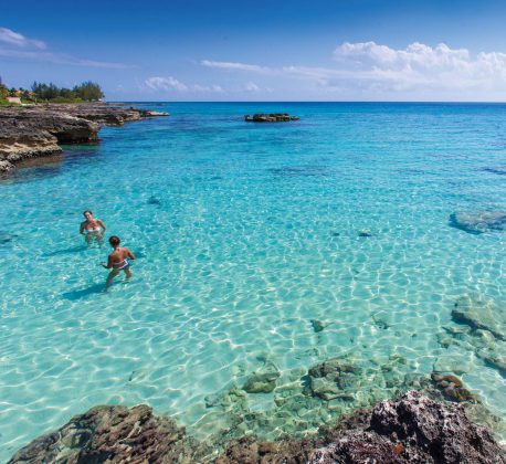 Island Life Calendar - Smith Barcadere - Cayman Islands