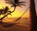 Island Life Calendar 2022 Island Life Calendar - Cayman Islands