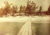 Looking back in time: Rum Point