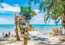Rum Point aims to reopen before end of year