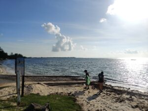 South Sound Beach cleanup -Microplastics - Plastic Free Cayman