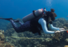 Recognising women in ocean science