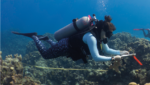Recognising women in ocean science