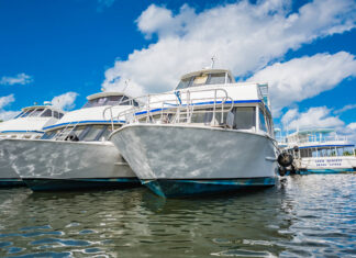 Cayman needs ‘new deal’ on cruise