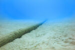 Government commissions submarine cable feasibility study