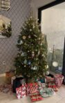 When all you want for Christmas is a negative PCR test…