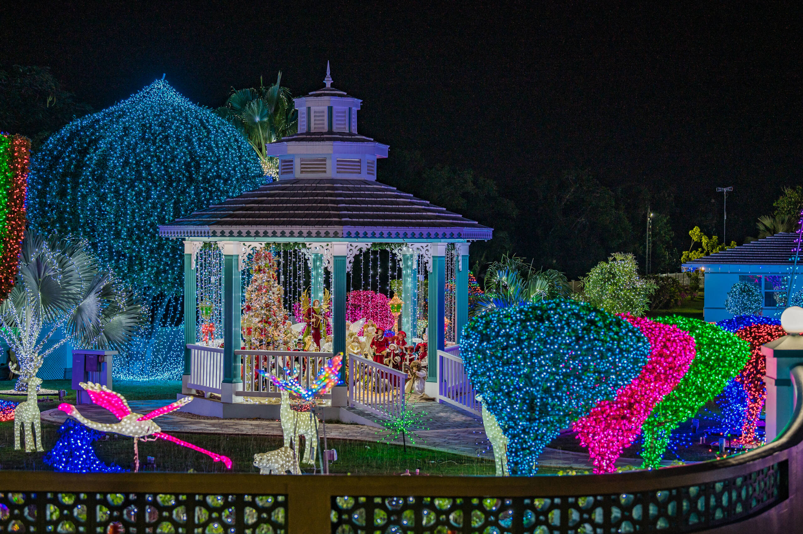 Christmas Lights 20210021 Cayman Compass