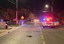 228 collisions, 24 DUI arrests recorded during police holiday crackdown
