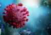 Ministry refutes social media COVID-19 XBB variant gossip coronavirus covid omicron
