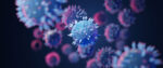 5.6% of the population is COVID-positive coronavirus covid omicron