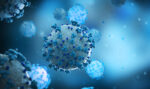 Cayman’s COVID death toll rises to 23 coronavirus covid-19