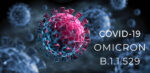 Omicron variant found in traveller coronavirus covid omicron