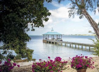West Indian garden