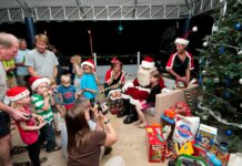 Scoobyluminations remembers animals at Christmas