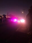 Police officer allegedly assaulted near the Annex