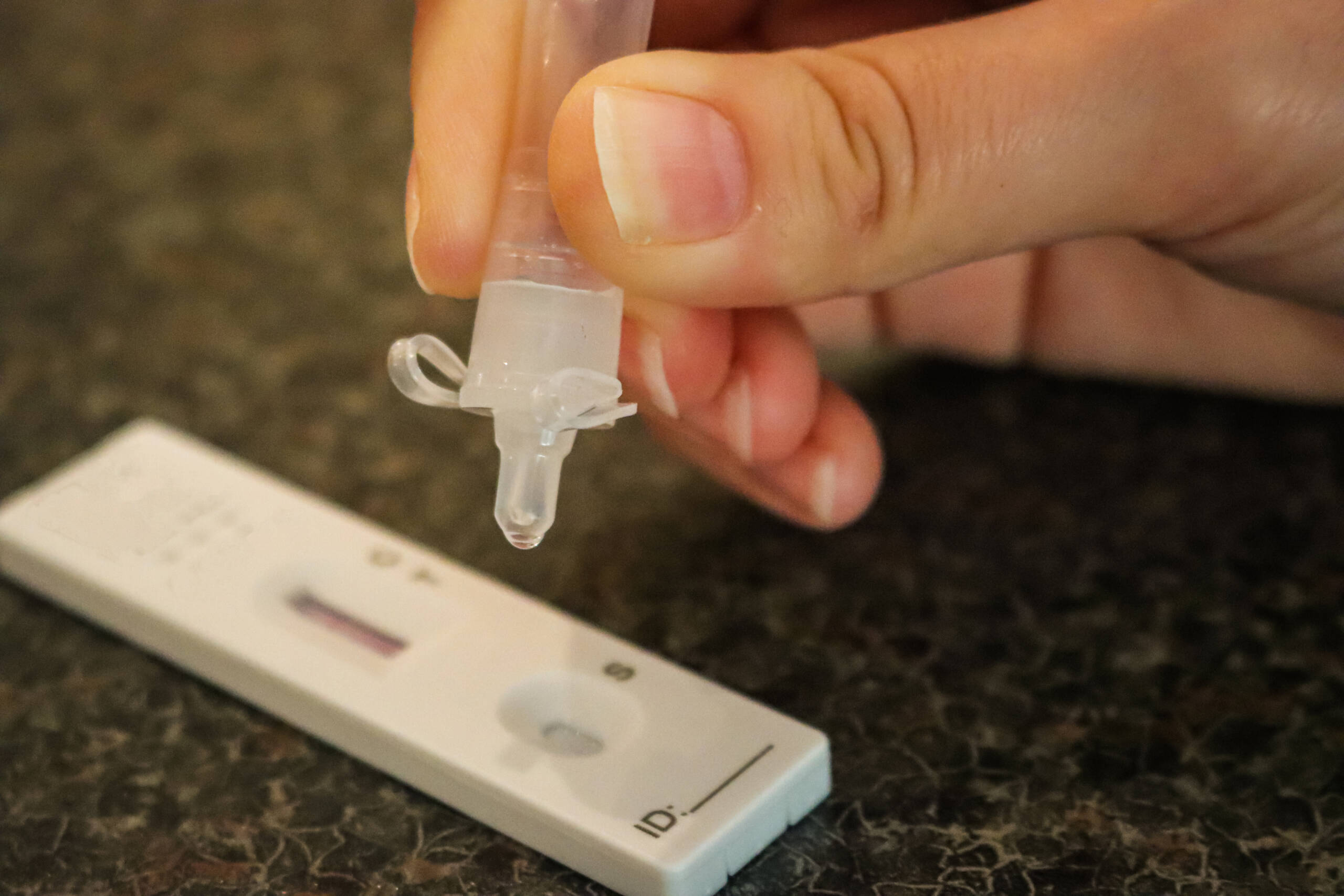 Lateral flow test Cayman Compass