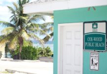 Man charged with attempted robbery at beach
