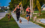 One Dog Jog scheduled for Sunday
