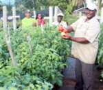 Agriculture Show cancelled for 2022