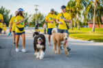 Wag and Walk on the horizon