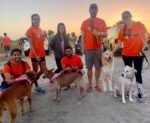 Humane Society 5K Walk and Wag this weekend