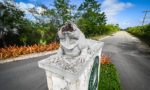 Botanic Park’s iconic blue iguana statue beheaded